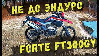 Forte FT300GY Обзор вся правда