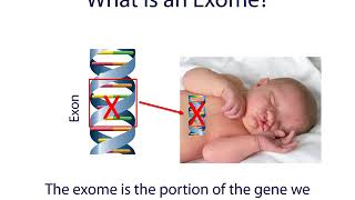 Introduction to Exome Sequencing