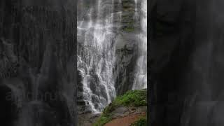 Aruvikkachal Waterfall/Poonjar,/ Pathampuzha/kottayam/@ajodhruva @ajodhruvalive5852