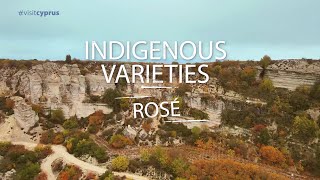 Rose (Indigenous varieties of Cyprus)