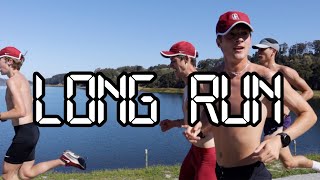 Stanford Team Long Run | 5:39 For 15 Miles!