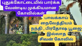 புதுக்கோட்டையில் பார்க்க வேண்டிய முக்கியமான கோவில்கள்.பாவக்காய் நைவேத்தியம்.Pudukkottai temples list