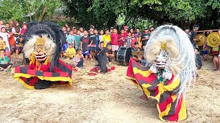 Aksi Barongan Blora Terbaru dan Bujang Ganong Seni Barong Taruno Adi Joyo Di PUNDEN DESA PULEDAGEL