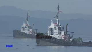 PACIFIC tugboat HELEN J  2018