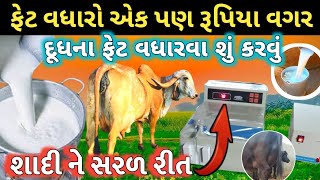 ગાય ના દૂધના ફેટ કેવી રીતે ‌વધારવા | સાદી  સરળ રીત | એક પણ રૂપિયાના ખર્ચે વગર | dhudh ma fet . SNF