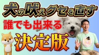 愛犬の吠え癖を根本から直す簡単な方法とは？