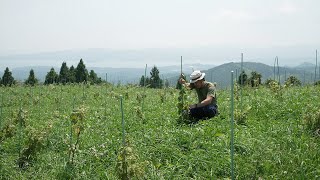 宮城県魅力発信動画　＃５海のまちでワインを育む侍「佐々木道彦さん」（宮城県広報課）