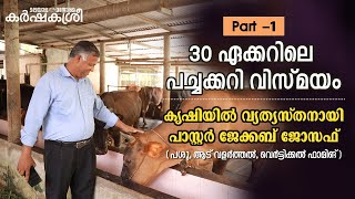 30 ഏക്കറിലെ പച്ചക്കറി വിസ്മയം; കൃഷിയിൽ വ്യത്യസ്തനായി പാസ്റ്റർ ജേക്കബ് ജോസഫ് Part-1 | Karshakasree