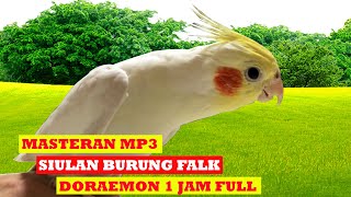 masteran burung falk - Siul Doraemon 1 Jam full