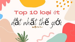 Top 10 loại ớt đắt nhất thế giới