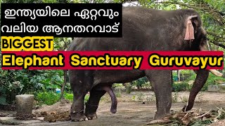 Biggest elephant sanctuary Guruvayur | Punathur Kotta | Jyothimani Wayanad