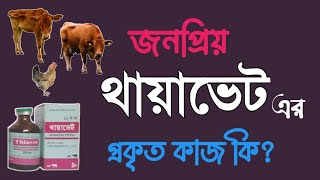 গরুর ভিটামিন ঔষধ | থায়ামিন এর কাজ কি | Thiavet থায়াভেটের কাজ দাম ডোজ