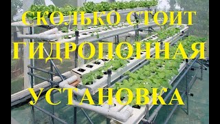 Сколько стоит многоярусная гидропонная установка для клубники? Как и из чего ее построить?