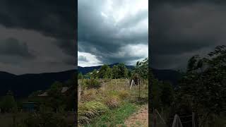 បូកគោខ្យល់ខ្លាំង #weather #bokor