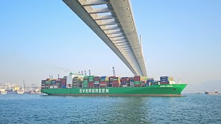 Container Ships Frequently Pass Under the Magnificent Bridge !! Rambler Channel, Victoria Harbour 1