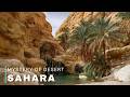 Unseen Sahara | The Mystery Of The Great Desert | Video Travel 4K