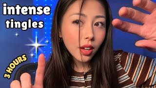 ASMR Can’t Sleep? (3 Hours • No Looping) | Intense Tingles
