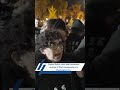 Capitol Police clash with Pro-Palestinian protestors outside of DNC Headquarters in Washington DC