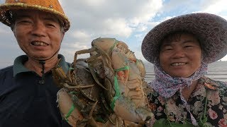 泰叔带泰婶赶海，水中荒岛没人来海货多到爆，一手提一大把青蟹