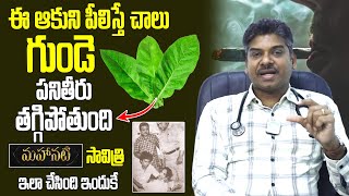 ఈ ఆకుని పీలిస్తే చాలు గుండె పనితీరు తగ్గిపోతుంది | Dr Ravikanth | iD Health Mantra | Cardiologist