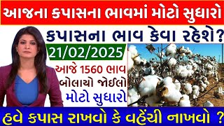 Kapas na bhav | 19-02-2025 | કપાસના ભાવ:2025 | Information about cotton crop price | Commodity Trend