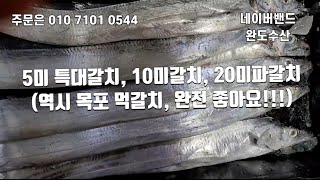 11월 30일 목포 생물 먹갈치 5미특대, 10미, 10미 파갈치 역시 목포 생물 먹갈치!!주문은 010 7101 0544  #목포먹갈치 #먹갈치 #갈치