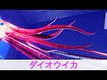 息子制作　生き物動画「ダイオウイカ」