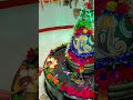 🌿🕉️ पातालेश्वर महादेव आरती दर्शन 🕉️🌿 mahadev mahadevstutas ytshorts mahadevbhakt