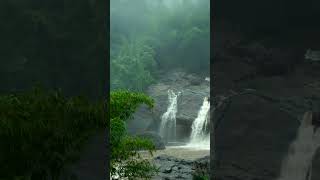 Ripple Waterfalls, Munnar