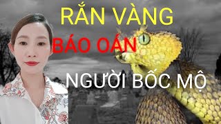 Chuyện Ma Có Thật _ Tập 55 : NGHIỆP BÁO BẮT RẮN VÀNG NƠI HUYỆT MỘ || CHUYỆN MA THẬP NHẤT