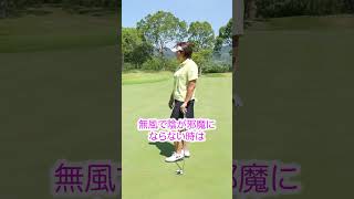 みなさんはどっち派ですか？ #golf #ゴルフ #プロゴルファー #福嶋晃子