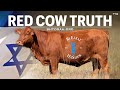 Truth About The Red Cow & Third Temple Sacrifice According To Torah