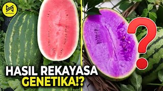 Bosan Makan Buah yg Biasa!? 10 Buah Hasil Rekayasa Genetika Dgn Kandungan Nutrisi Terbaik Di Dunia