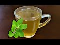 Green Tulsi Ginger Tea | Ginger Tea | Best Home Remedy for Cold, Cough and Sore Throat