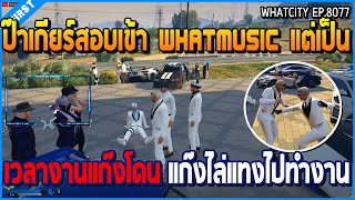 เมื่อป๊าเกียร์จะมาสอบเข้า WHAT MUSIC แต่เป็นเวลางานแก๊ง โดนแก๊งแทงอุ้มไปทำงาน | GTA V | WC EP.8077