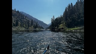 2024-08-01 Kayaking Main Salmon ID 81 miles