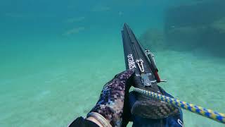 Miami Freediving Spearfishing Inverted Roller Orca V 125