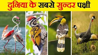 8 most beautiful birds in the world? 8 most beautiful birds in the world?