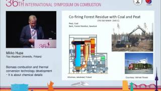 Biomass Combustion and Thermal Conversion Technology Development, Mikko Hupa