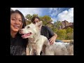 dog friendly road trip ep 2 zion national park pa’rus trail u0026 more