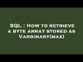 SQL : How to retrieve a byte array stored as Varbinary(max)