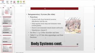 Ch 5 - A&P Review