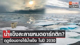 น้ำแข็งละลายหมดอาร์กติก? ฤดูร้อนอาจไร้น้ำแข็ง ในปี 2030 l TNN World Today