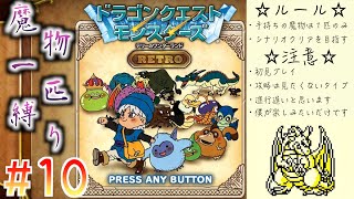 #10【レベル上げ、井戸の扉編】魔物一匹でクリアを目指してみる♪【初見縛りプレイ】【テリーのワンダーランドRETRO】