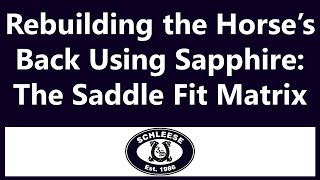 Recreating the Horse's Back Shape Using Schleese's Sapphire: The Saddle Fit Matrix