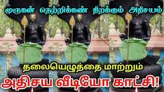 முருகன் நெற்றிக்கண் திறக்கும் அதிசயம் !  தலையெழுத்தை மாற்றும் !  அதிசய வீடியோ காட்சி !