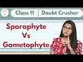 Sporophyte Vs Gametophyte || CLASS 11 || Doubt Crusher ||