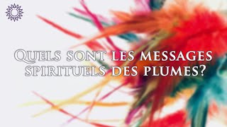 ☯ QUELS SONT LES MESSAGES SPIRITUELS DES PLUMES ?