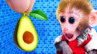 🐵Adorable Baby Monkey Bi Bon harvests avocados and takes care of the farm | Animals Monkey Video