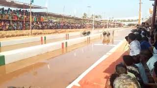 Puttur – Koti Chennaya Kambala 2018